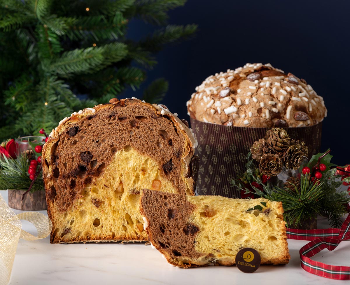 panettone artigianale con canditi Agrimontana, cioccolato Domori e DelilevPlus Delizia. il mondo dei panettoni