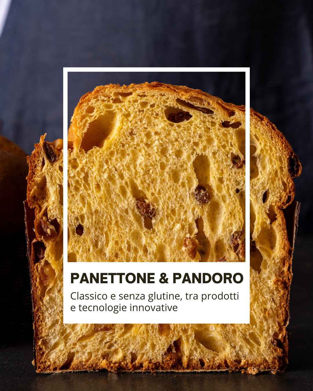 PANETTONE